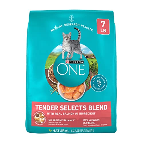 Purina ONE Natural Dry Cat Food, Tender Selects Blend With Real Salmon - 7 lb. Bag - Salmon - 1 Count (Pack of 1)
