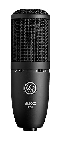 AKG P120 Mic