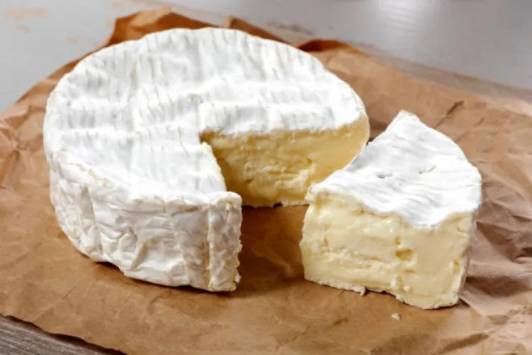 Camembert