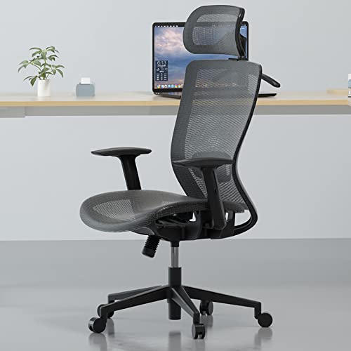 FLEXISPOT OC3B Ergonomic Executive Mesh Office Chair Swivel Height Adjustable Seat Headrest Armrest Lumbar Support Caster Wheels Task Chair Gray Mesh Seat Computer Office Desk Chair - Grey - Classic