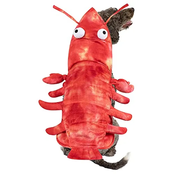 Rypet Dog Lobster Costume Funny Puppy Halloween Costumes for Small Dogs Winter Clothes XS