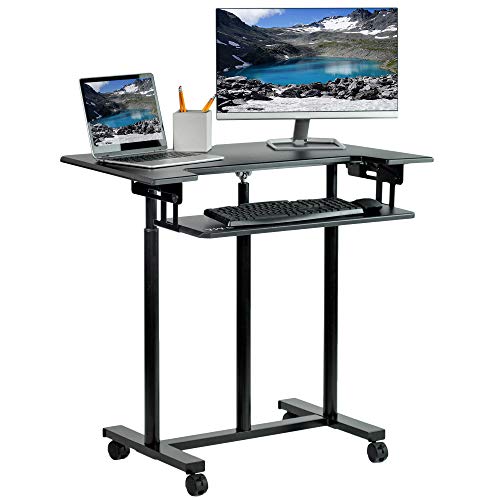 Adjustable Standing Standing Desk