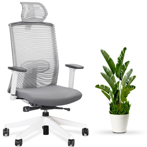 KarmaChair - Ergonomic Chair - White