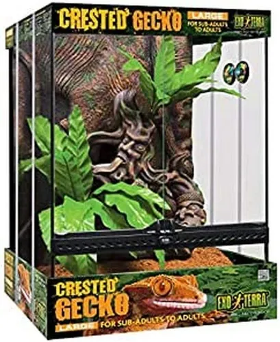 Amazon.com : Exo Terra PT3779 Crested Gecko Kit, Large : Pet Supplies
