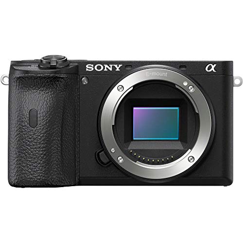 Sony Alpha A6600 Mirrorless Camera - Body only