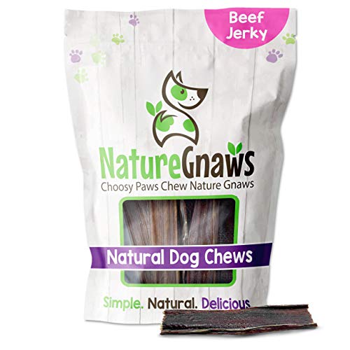 Nature Gnaws 10 Count Jerky Large Premium Beef Gullet Sticks-Simple Single Ingredient Tasty Dog Chew Treats-Rawhide Free, (Pack of 1) - 10 Count (Pack of 1)