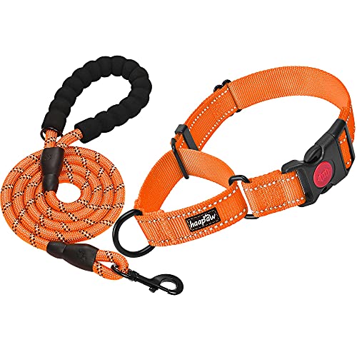 haapaw 2 Packs Martingale Dog Collar with Quick Release Buckle Reflective Dog Training Collars for Small Medium Large Dogs - M-Martingale collar - Orange, Martingale Collar+Leash
