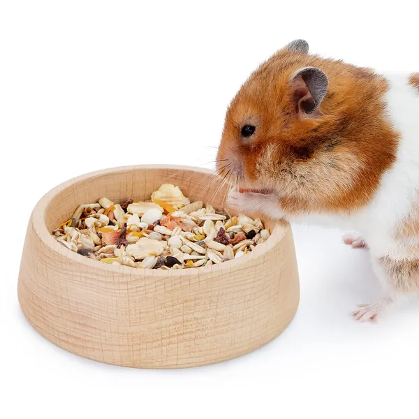 Niteangel Wooden Hamster Feeding Bowl - Small Animal Food Dish for Dwarf Syrian Hamsters Gerbils Mice Degus or Other Similar-Sized Small Pets