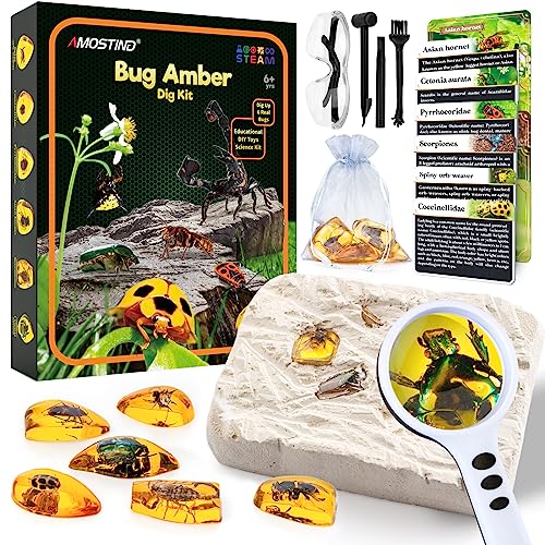 Amber Gemstone Dig Kit， Real Crystals&Gemstone Science Kits for Kids Age 6 7 8 9 10， Rocks &Stones&Bugs Excavation Kits， Educational Gifts Toys for 6+ Year Old Girls Boys