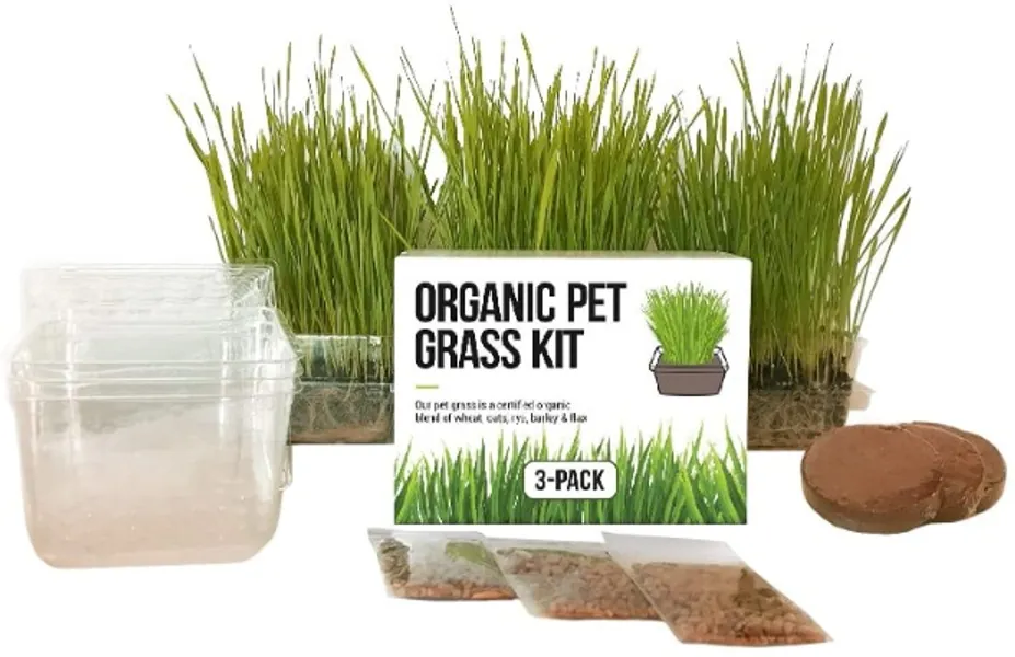 Cat Grass Growing Kit - 3 Pack Organic Seed, Soil and BPA Free containers (Non GMO). All of Our Seed is Locally sourced! Perfect Gift for pet and pet Lovers.