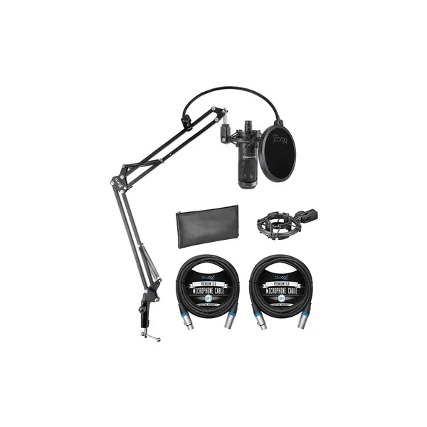 Audio Technica AT2035 Cardioid Condenser Microphone Perfect for Studio, Podcasting & Streaming, XLR Output Bundle with Blucoil Boom Arm Plus Pop Filter, and 2-Pack of 10-FT Balanced XLR Cables - 