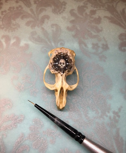 Skull on Rat skull