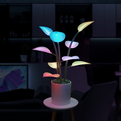 Fluora Mini - April 2024 Pre-Order | Default Title