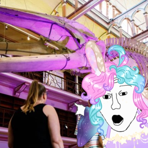 📜Museum trip!!🦴