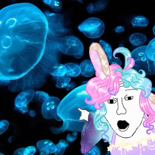 🦀Aquarium trip!!🪼