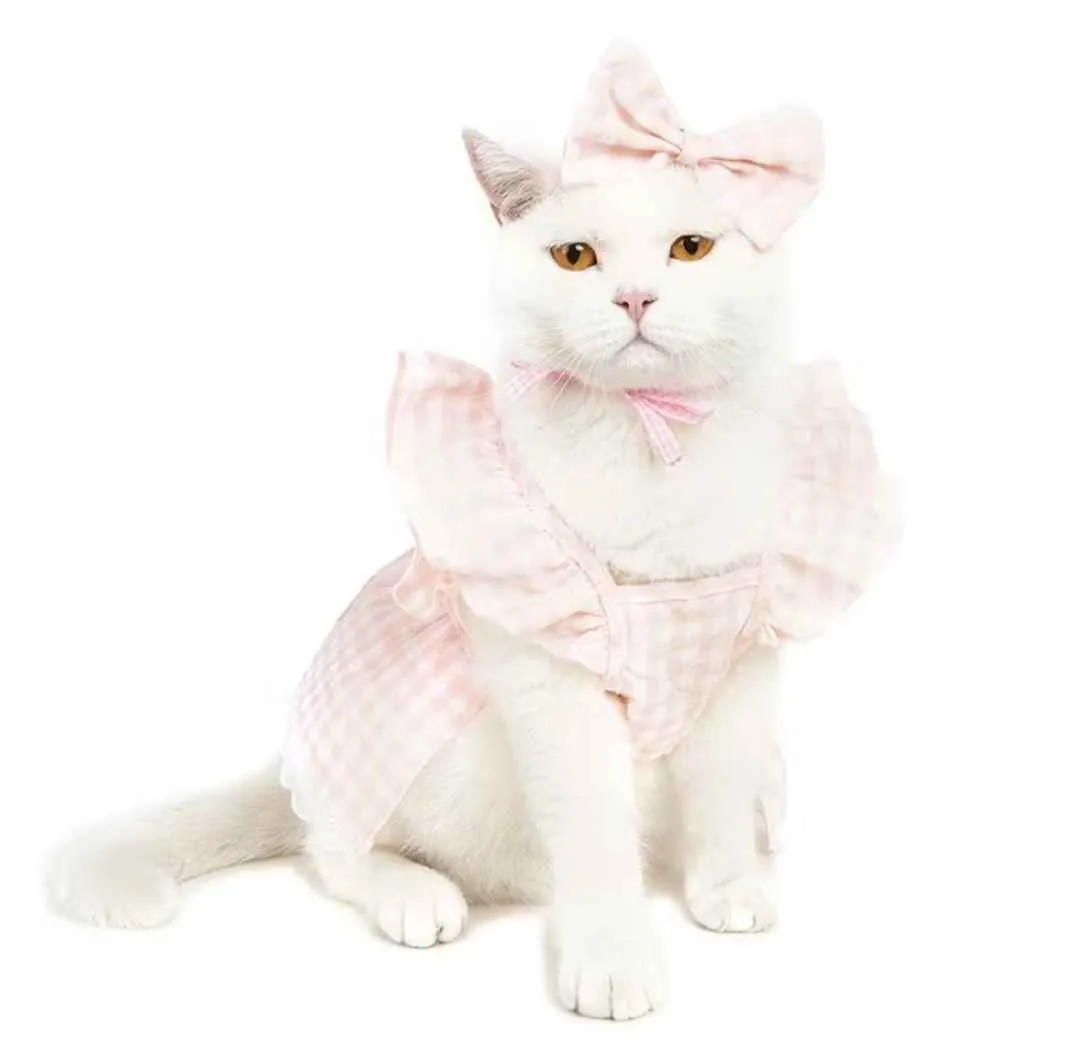 Dress for maru ehehe