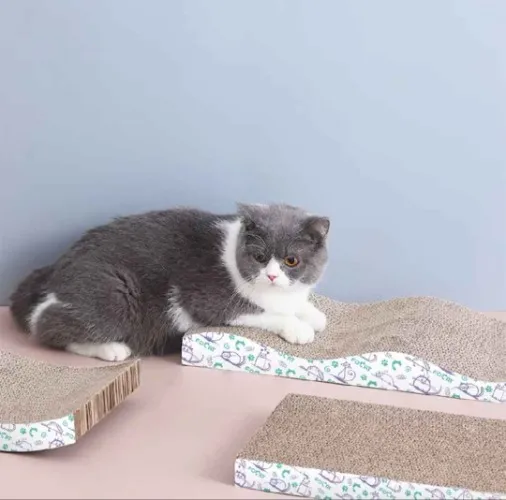 Cat scratching board