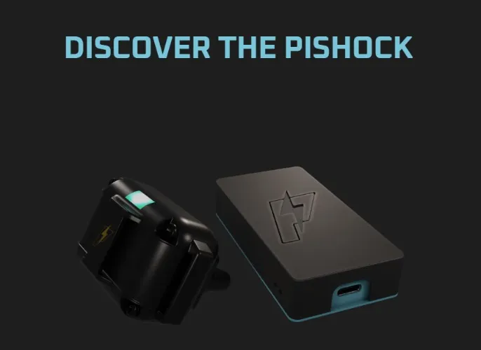 stream interactive shock collar 