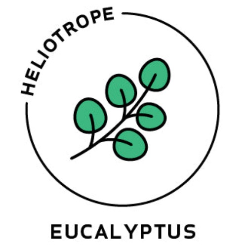 Essential Oil - Eucalyptus (Organic) - 1/8 oz