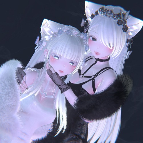 Re : Rachel | Priscilla