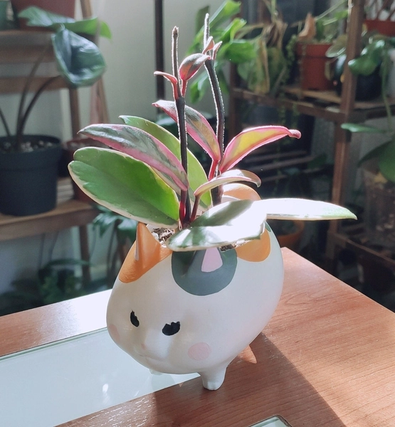 Fat cat plant pot / planter inspired in Final Fantasy XIV 3d printed in PLA