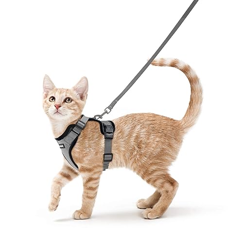 rabbitgoo Cat Harness and Leash for Walking, Escape Proof Soft Adjustable Vest Harnesses for Small Medium Cats, Easy Control Breathable Reflective Strips Jacket, XS, Grey - XS - Grey