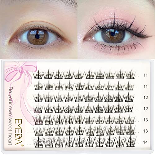  Lashes 70pcs - 11-14mm Lash Clusters