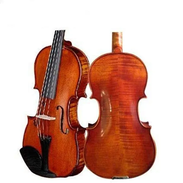 D Z Strad Violin LC101 with case, shoulder rest, bow, and rosin (4/4 - Full Size) - 4/4 - Full Size