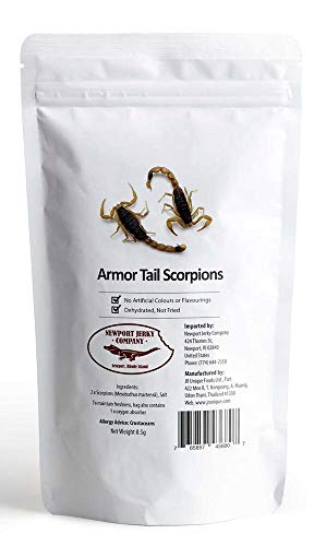 Newport Jerky Company Edible Insects | Edible Armor Tail Scorpions | Edible Scorpion 2 Pack| Edible Bugs for Humans - Armor Tail Scorpions