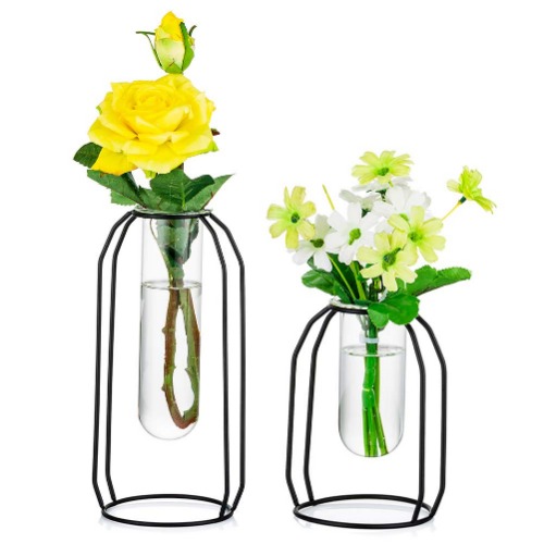NUPTIO Vases Set of 2 Glass Vases with Metal Frame, Modern Black Frame Cylinder Clear Vase Planter Terrariums, Flower Holder Decorations for Wedding Living Room, Office, Party - Black S+L
