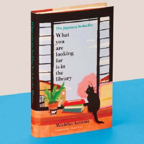 What You Are Looking for is in the Library by Michiko Aoyama