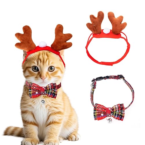 Christmas outfit for Chevy