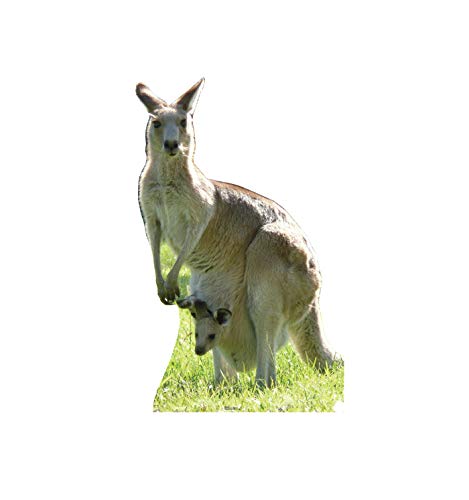 Cardboard People Kangaroo Life Size Cardboard Cutout Standup - Kangaroo