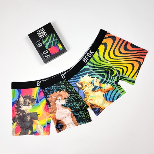 PRIDE PACK BOXER BRIEFS | LARGE