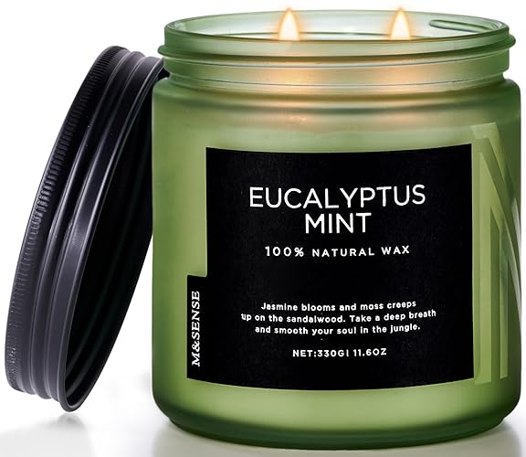 M&SENSE Eucalyptus & Mint Soy Candles for Home Scented, 11.6oz 70 Hour Burn Aromatherapy Candle Gift for Stress Relief, Meditation, Yoga, Relaxing SPA, Reusable Jar Candles for Men and Women - Eucalyptus Mint - Medium Jar