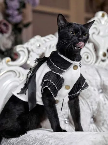 Victorian Beans Outfit