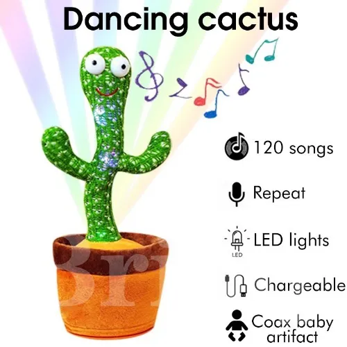 Dancing Cactus