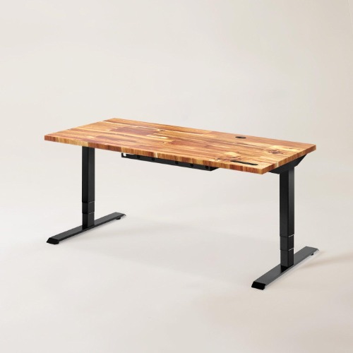 Wildwood Standing Desk - Acacia - Black / S (47" x 29")