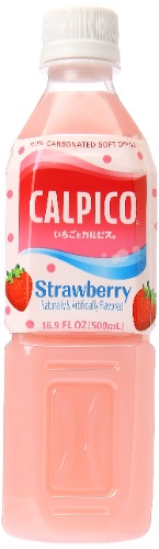 Calpico Non-Carbonated Soft Drink, Strawberry, 16.9 oz - strawberry 16.9 Fl Oz (Pack of 1)