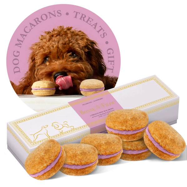 Box of 6 Dog Macarons | Raspberry