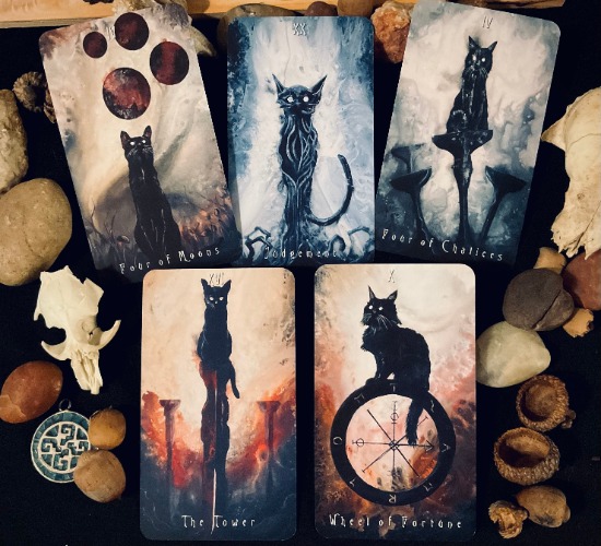 Haunted Cat Tarot | Default Title
