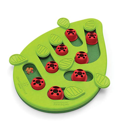 Nina Ottosson by Petstages Buggin' Out Puzzle & Play - Interactive Cat Treat Puzzle - Treat Puzzle - Buggin Out - Treat Puzzle