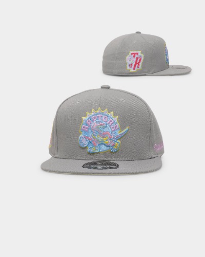 Mitchell & Ness Toronto Raptors 'Til Dawn' Fitted Grey | 712
