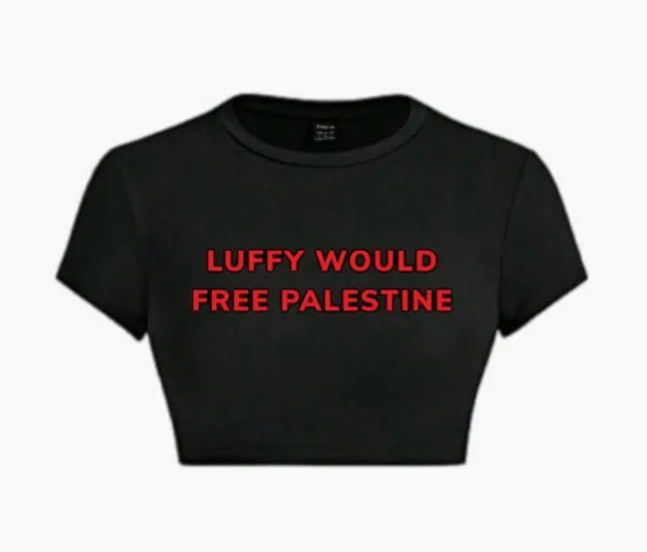 Luffy Would Free Palestine Crop Top