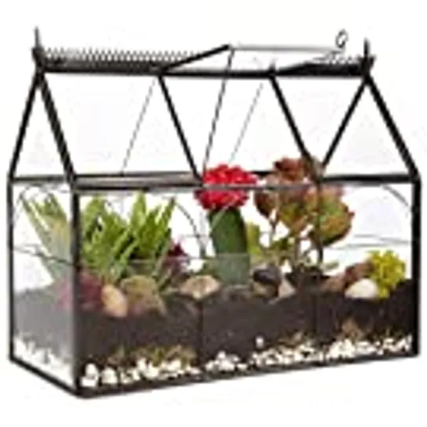 D'Eco Glass Terrarium, Geometric DIY, Succulent & Air Plant - Hinged Greenhouse Shaped for Indoor Gardening Decor- Create Your own Flower, Fern, Moss Centerpiece- Amazing