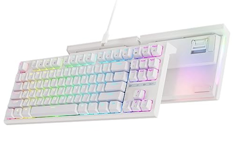 RK ROYAL KLUDGE R87 Mechanical Keyboard, 75% Layout Hot Swappable Wired Gaming Keyboard Software Macro Compact RGB Backlit PC Game Keyboards 87 Keys for Win Mac, Yellow Switch-White - Hot-Swappable Yellow Switch - White