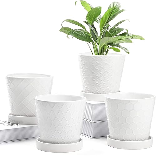 Ceramic Planters - Set of 4