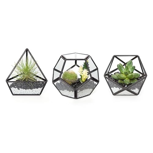 Geometric Terrarium Planters