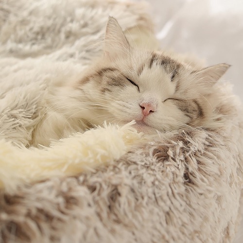 Cat & Dog Round Sleeping Bag Cave - L / Coffee