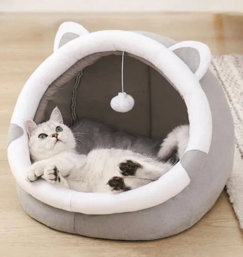 New bed for Dope